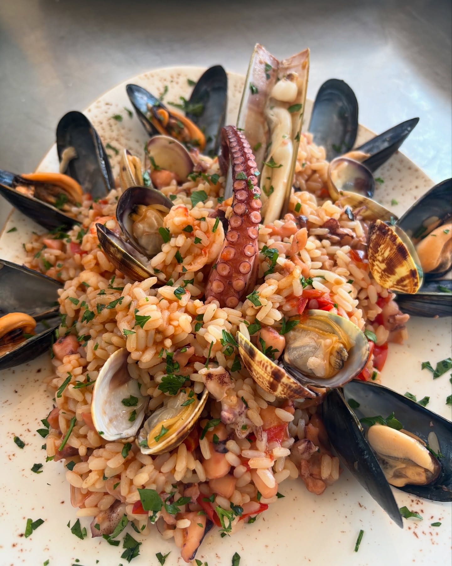 Sapori mediterranei — Pesce fresco